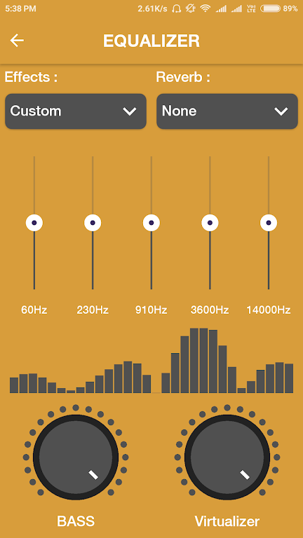 Roar Music Player应用截图第1张