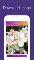 InstaSave スクリーンショット 1