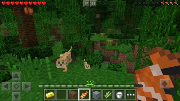 ทำไมเกมสร้างสรรค์จึงเสพติดมาก: ความคิดเห็น