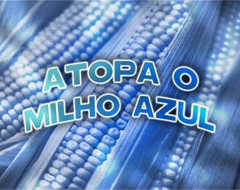 Atopa o Milho Azul Tangkapan skrin 0