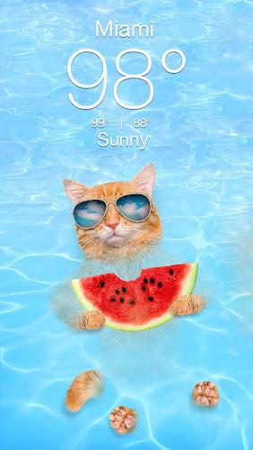 Weather Kitty - App & Widget Ảnh chụp màn hình 1