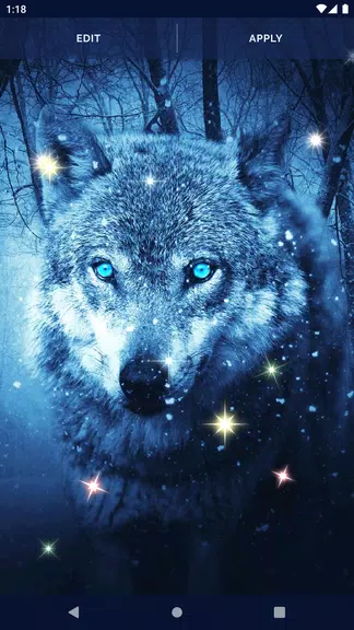 Night Wolf Live Wallpaper Captura de pantalla 3