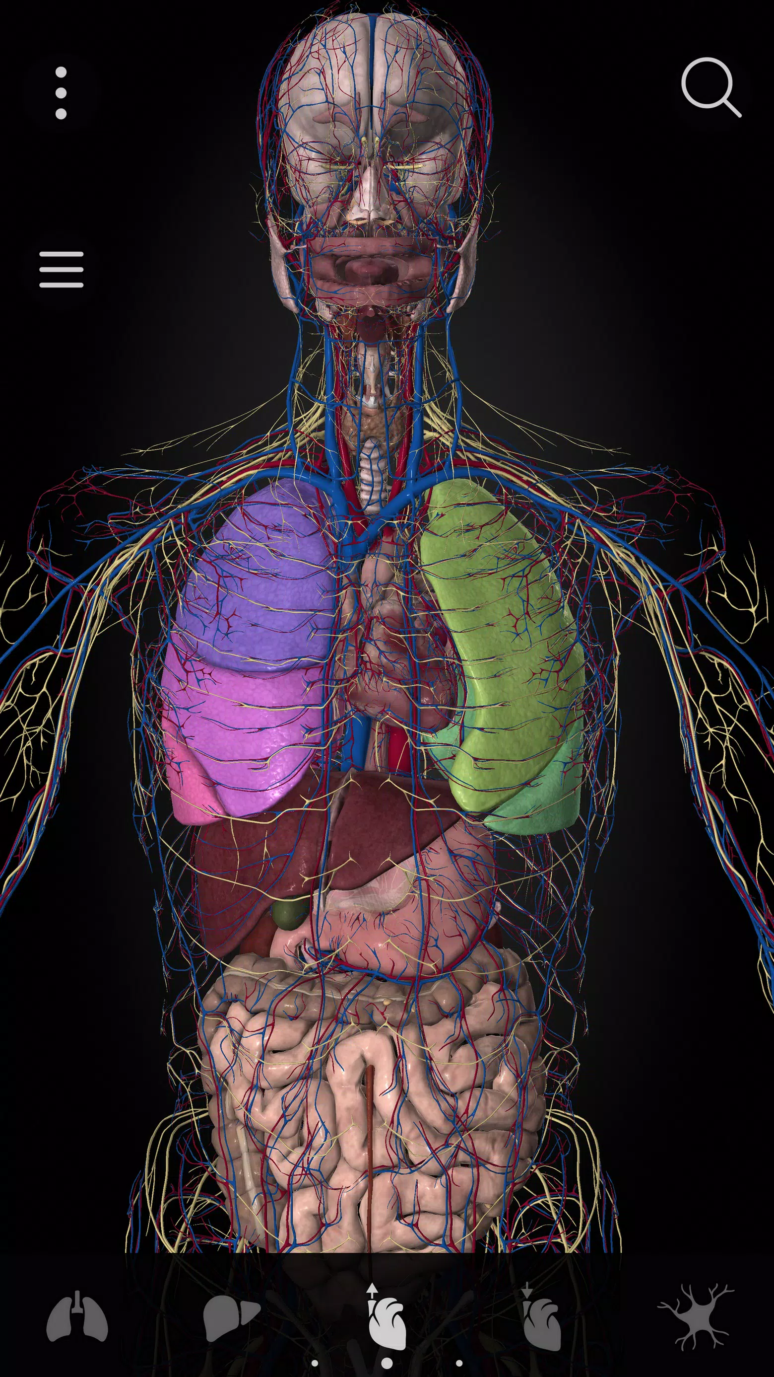 Anatomyka - 3D Anatomy Atlas 螢幕截圖 2