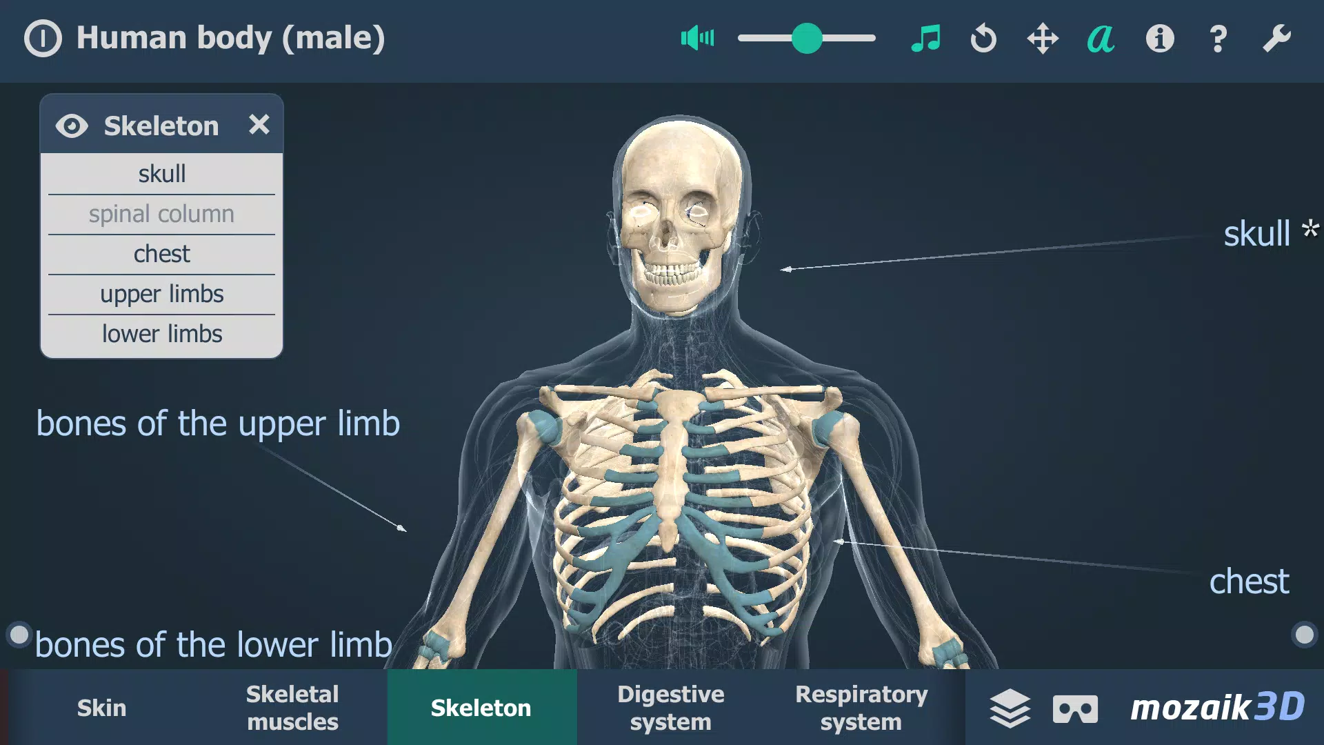 Menschlicher Körper (Mann) 3D Screenshot 2