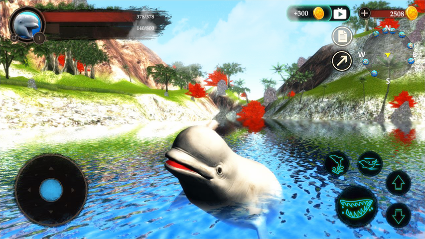 The Beluga Whale Screenshot 3