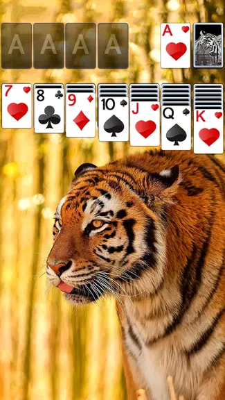 Solitaire Tiger Theme Ảnh chụp màn hình 0