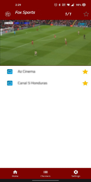 Totalsportek Player Screenshot 0