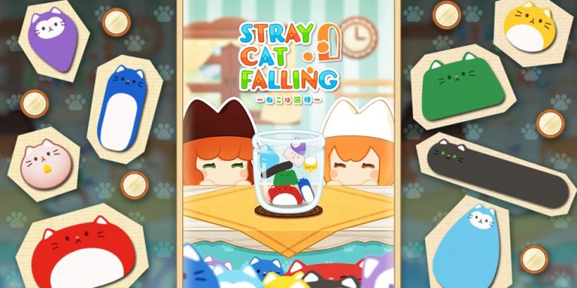 Stray Cat Falling é uma versão de densidade muito mais baixa do jogo suika