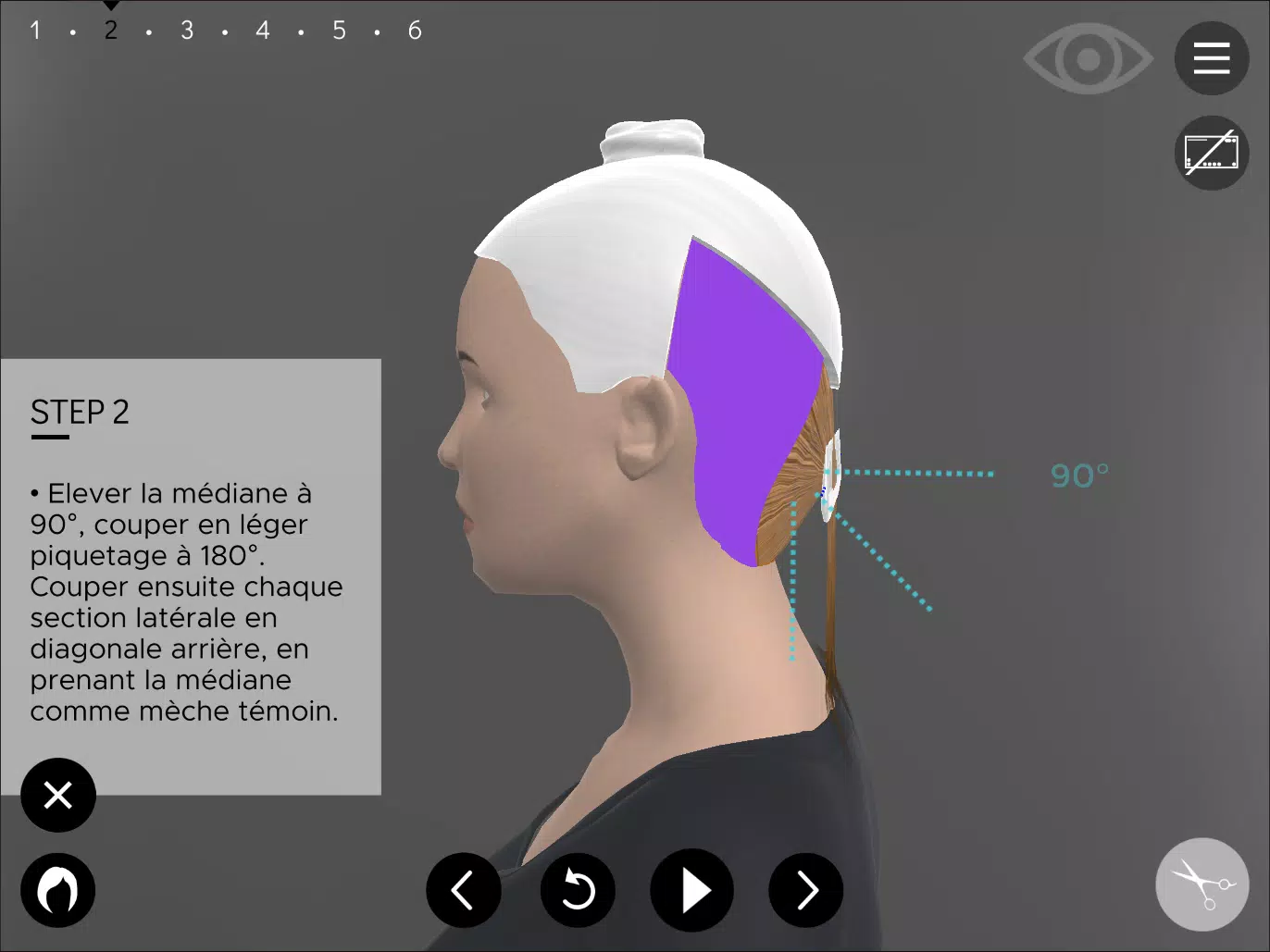 Hairteach Screenshot 2