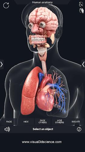 Schermata My Organs Anatomy 3