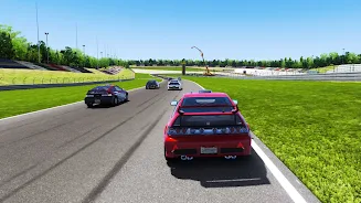 Racing Driving Simulator 3D Скриншот 0