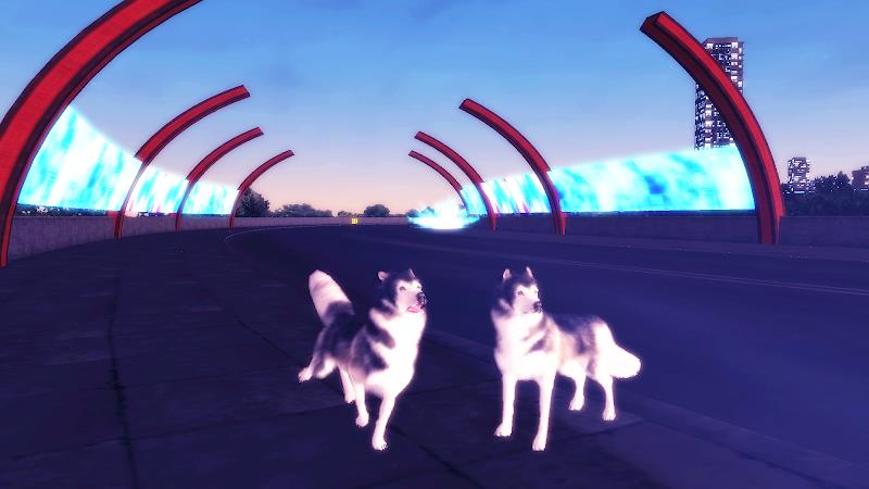 Husky Simulator Schermafbeelding 1