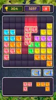 Block Jewel: Brick Puzzle Game Ảnh chụp màn hình 0