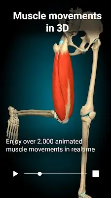 Anatomy Learning - 3D Anatomy Ảnh chụp màn hình 1