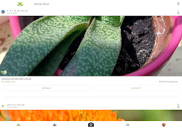 プラントネット (PlantNet) 植物図鑑アプリ スクリーンショット 2
