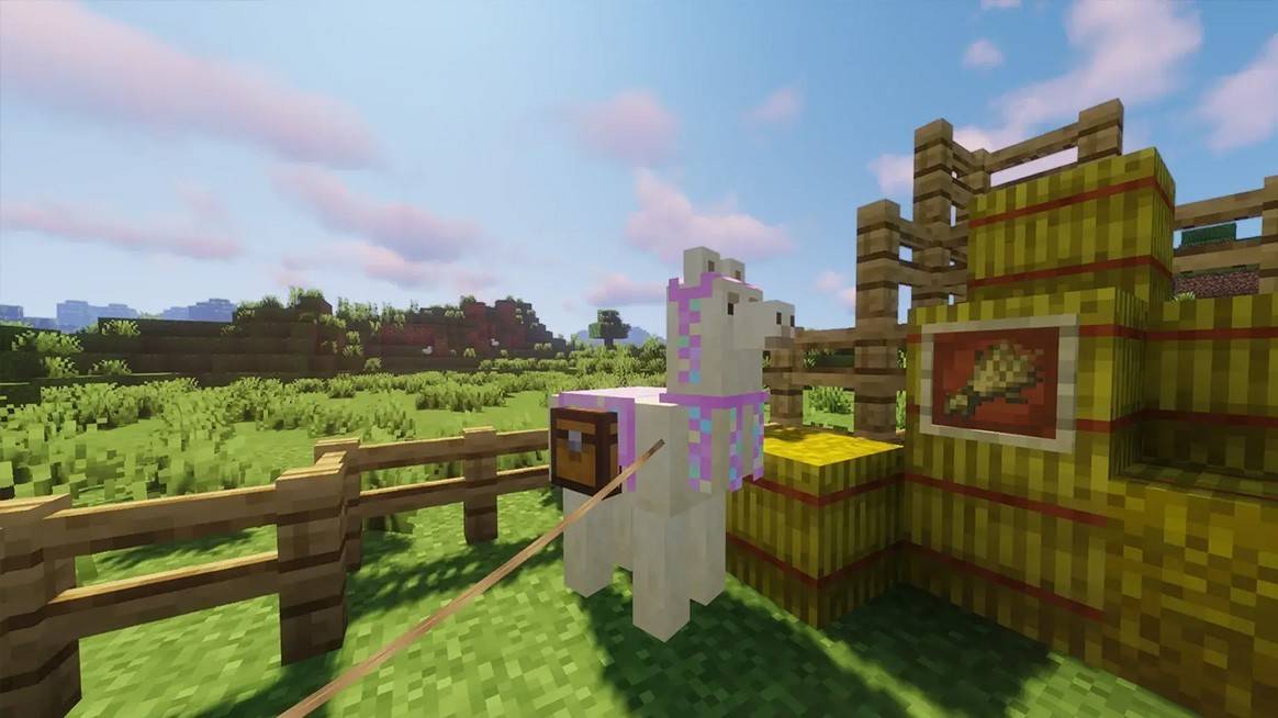 Llama caravan