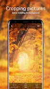 Autumn Wallpapers 4K Tangkapan skrin 3