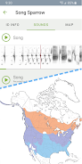 Merlin Bird ID by Cornell Lab Screenshot 2