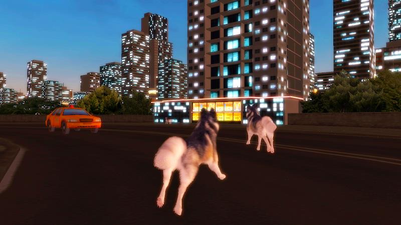 Husky Simulator Zrzut ekranu 2