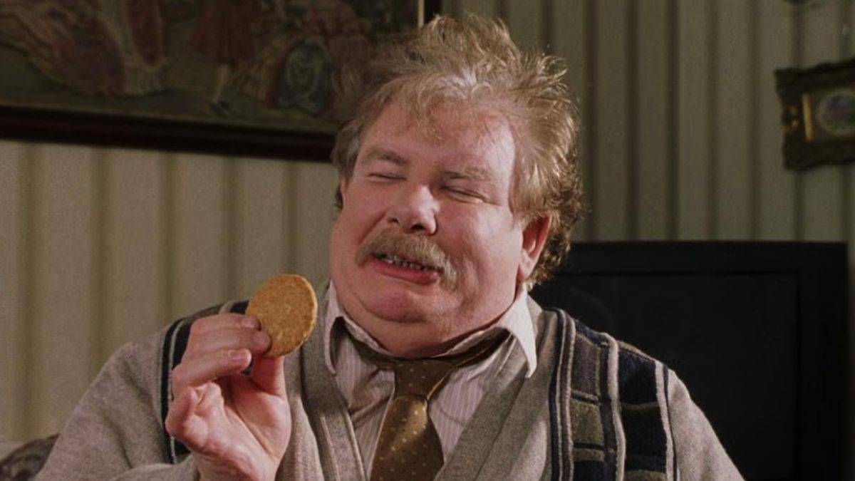 Harry Potter'da Vernon Dursley ve Büyücü Taşı olarak Richard Griffiths