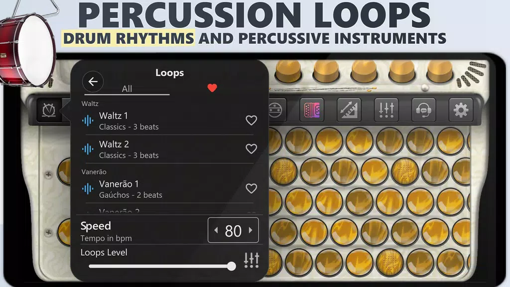 Schermata Accordion Chromatic Master 2