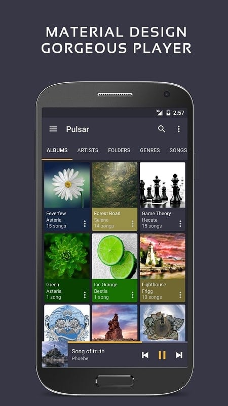 脉冲音乐播放器 - Pulsar Music Player应用截图第0张