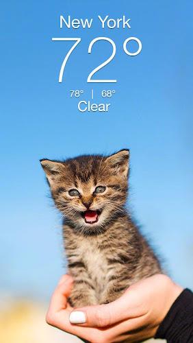 Weather Kitty - App & Widget Ảnh chụp màn hình 0