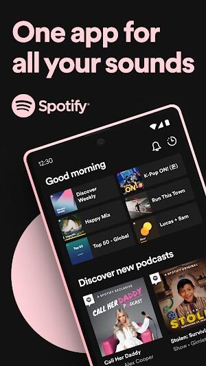 Spotify Premium স্ক্রিনশট 0