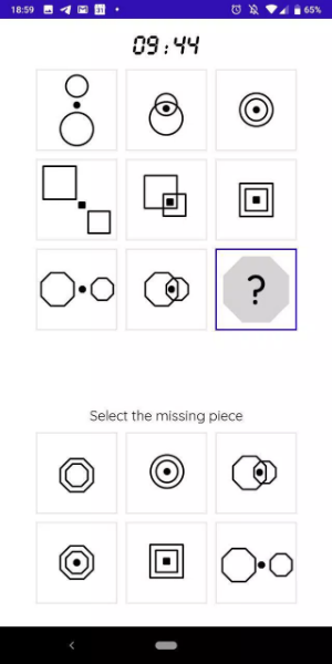 iQT: Raven IQ Test স্ক্রিনশট 1