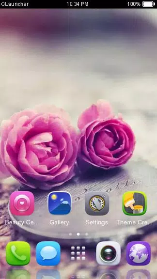 Pink Roses Theme C Launcher Ảnh chụp màn hình 2