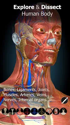 Anatomy Learning - 3D Anatomy Capture d'écran 0