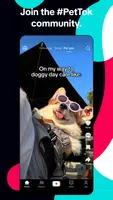 TikTok: Videos, Lives & Musik Capture d'écran 3