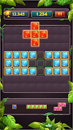 Block Puzzle Jewel Classic应用截图第1张