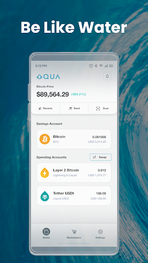 AQUA Wallet Captura de tela 1