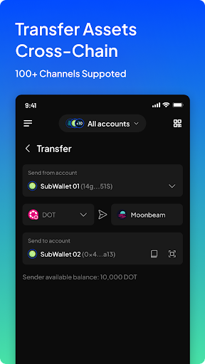 SubWallet Tangkapan skrin 2