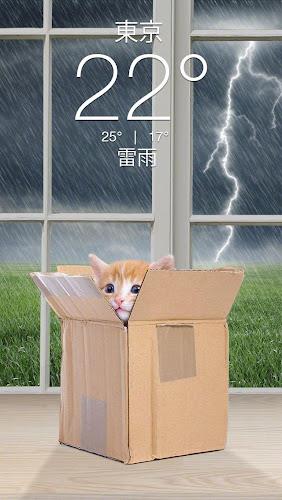 Weather Kitty - App & Widget স্ক্রিনশট 3