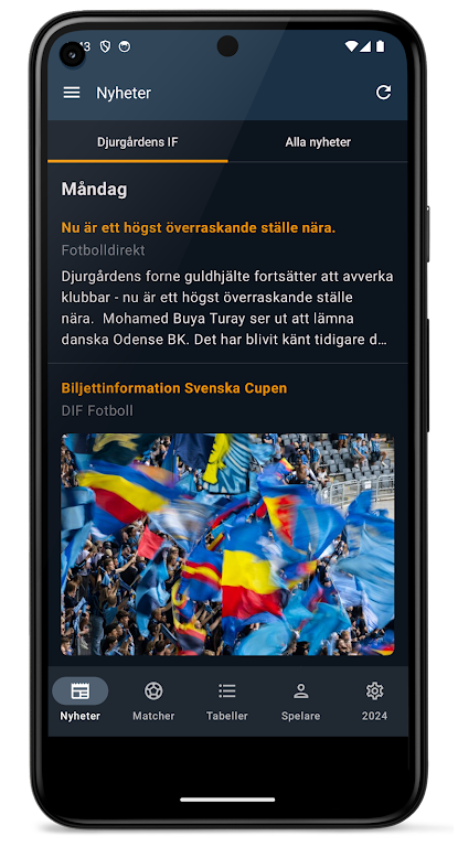 Allsvenskan 2024 螢幕截圖 0