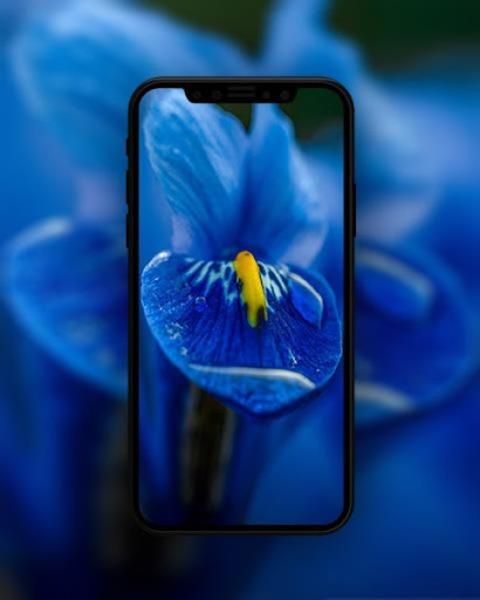 Blue Wallpapers HD ภาพหน้าจอ 3