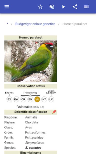 Parrots スクリーンショット 2