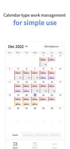 Gig-work schedule,wage manager Ảnh chụp màn hình 0