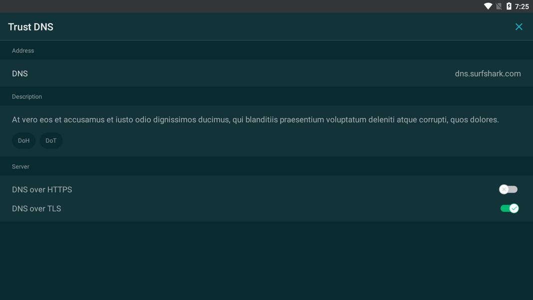 Trust DNS 螢幕截圖 2