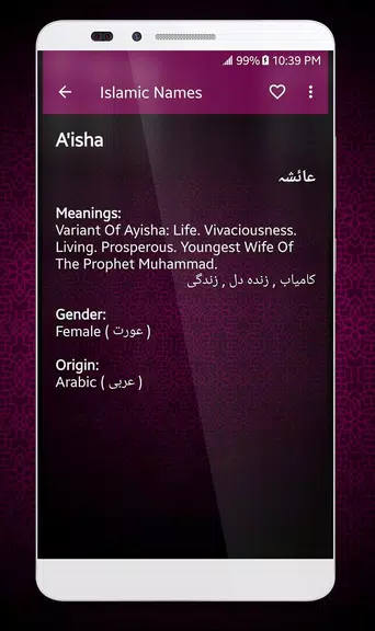 Islamic Names Dictionary Screenshot 2