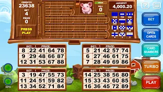 Video Bingo Little Farm Скриншот 2