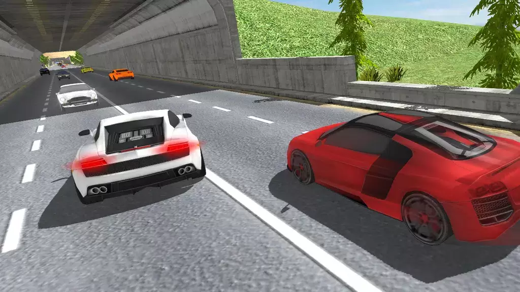 Traffic Highway Racer Tangkapan skrin 1