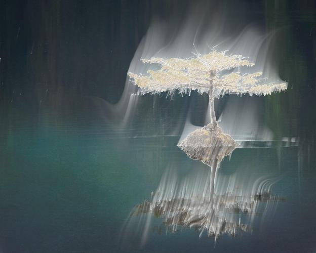 Ring Lord: Shadow ghost Camera 螢幕截圖 0