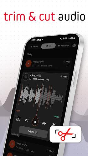 Voice Recorder Pro - VoiceX Screenshot 1