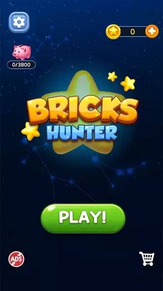 Bricks Hunter : Cube Puzzle应用截图第0张