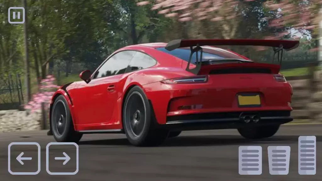 Racing Porsche Carrera 911 GT3 Schermafbeelding 3