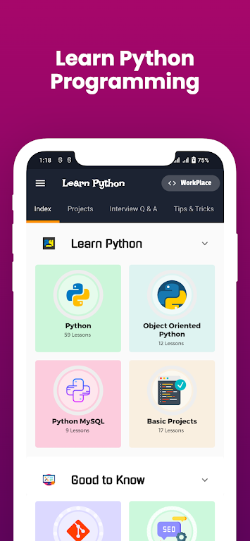 Learn Python Offline :PyBook Tangkapan skrin 2