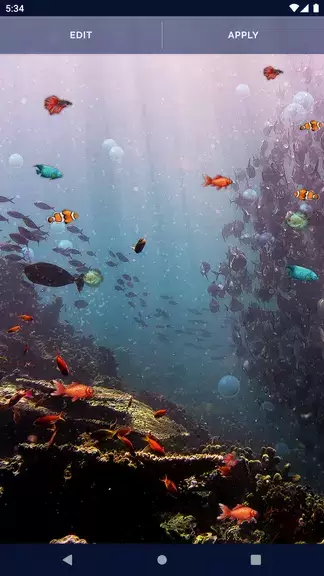 Ocean Fish Live Wallpaper 4K Ekran Görüntüsü 3